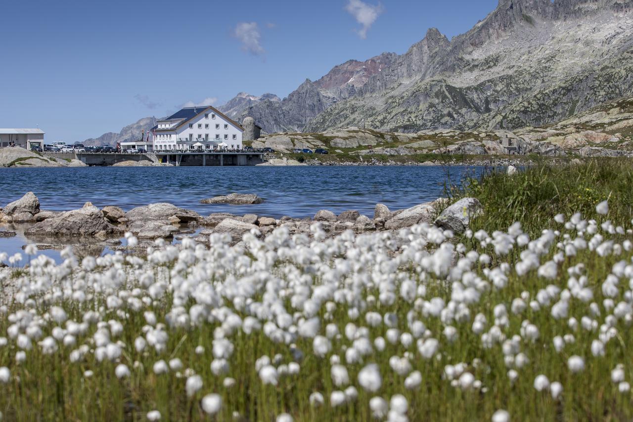 Hotel Grimsel Passhöhe Oberwald Exterior foto